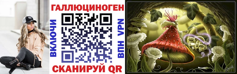 купить  цена  Сим  Галлюциногенные грибы GOLDEN TEACHER 